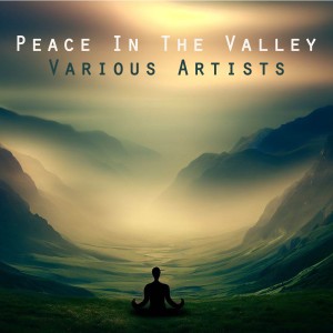 ดาวน์โหลดและฟังเพลง I'm Serving the Lord พร้อมเนื้อเพลงจาก The Soul Seekers