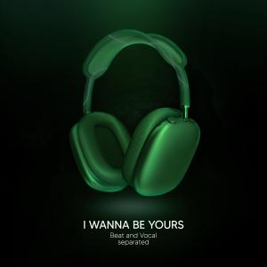 Shake Music的專輯I Wanna Be Yours (9D Audio)