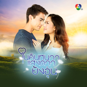 ดาวน์โหลดและฟังเพลง ในคืนหนาวแสงดาวยังอุ่น พร้อมเนื้อเพลงจาก โดม ทิวทอง