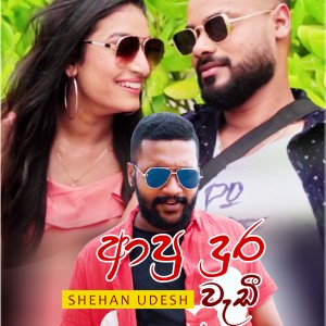ดาวน์โหลดและฟังเพลง Apu Dura Wadi พร้อมเนื้อเพลงจาก Shehan Udesh