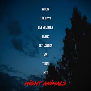 ดาวน์โหลดและฟังเพลง Night Animals (feat. Till Wild) พร้อมเนื้อเพลงจาก Driver86