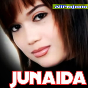收听Junaida的Janji歌词歌曲