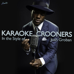 收聽Ameritz Karaoke Crooners的You Raise Me Up (Karaoke Version)歌詞歌曲