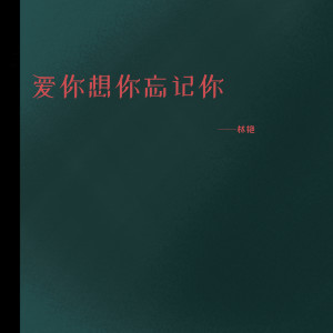 收聽林豔的愛你想你忘記你歌詞歌曲