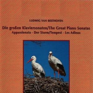 Ludwig van Beethoven - The Great Piano Sonatas