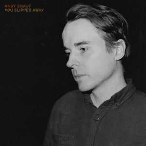 Album You Slipped Away from Andy Shauf