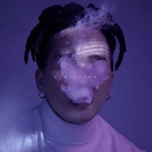 Album Stay Fine from 