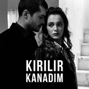 Listen to Kırılır Kanadım Bilirim Ben Sensiz song with lyrics from Stres Beats