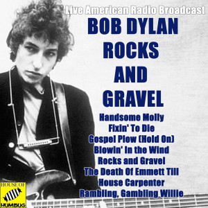 收聽Bob Dylan的Blowin' In the Wind (Live)歌詞歌曲