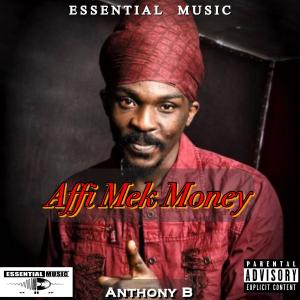 Album Affi Mek Money from Anthony B