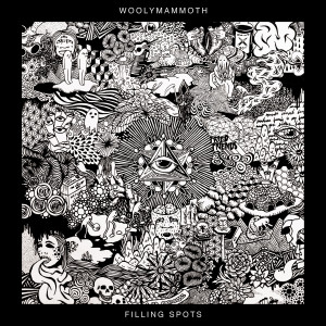 Listen to Riddim Fix song with lyrics from Woolymammoth