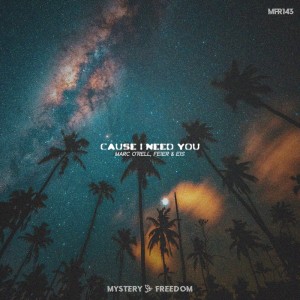 ดาวน์โหลดและฟังเพลง Cause I Need You พร้อมเนื้อเพลงจาก Marc O'rell