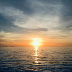 Listen to Simple Things song with lyrics from Deep Sleep