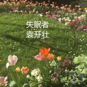 ดาวน์โหลดและฟังเพลง 失眠者 พร้อมเนื้อเพลงจาก 袁开壮