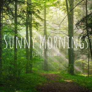 ดาวน์โหลดและฟังเพลง Sunny Mornings พร้อมเนื้อเพลงจาก Peder B. Helland