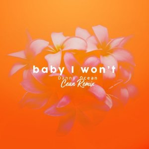 收聽Danny Ocean的Baby I Won't (Cean Remix)歌詞歌曲