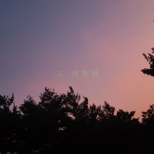 Listen to 그 여름밤 song with lyrics from oftn (오픈)