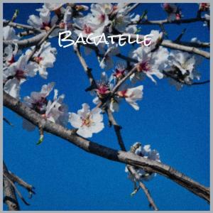 อัลบัม Bagatelle ศิลปิน Various Artist