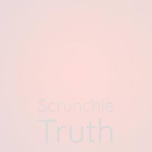 Various Artists的專輯Scrunchie Truth