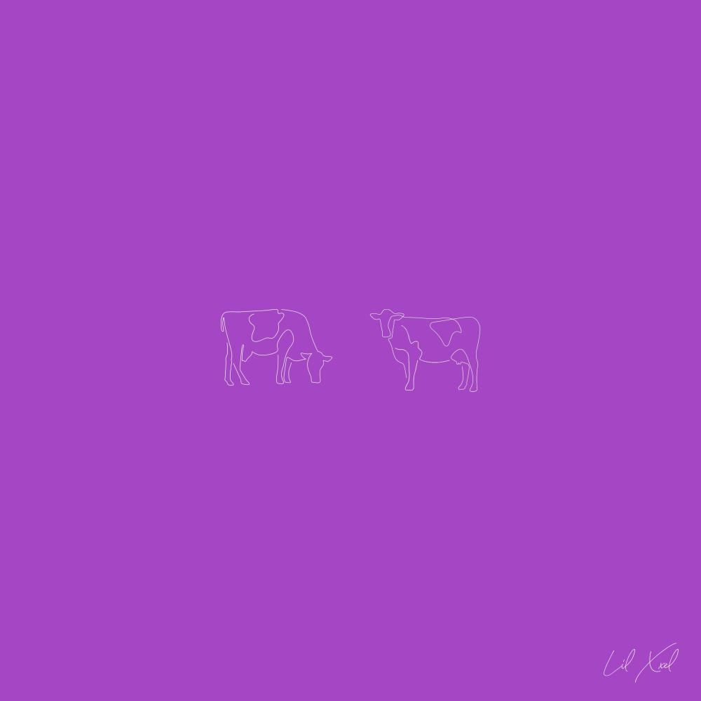 Cows Come Home