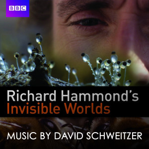 Album Richard Hammond's Invisible Worlds from David Schweitzer