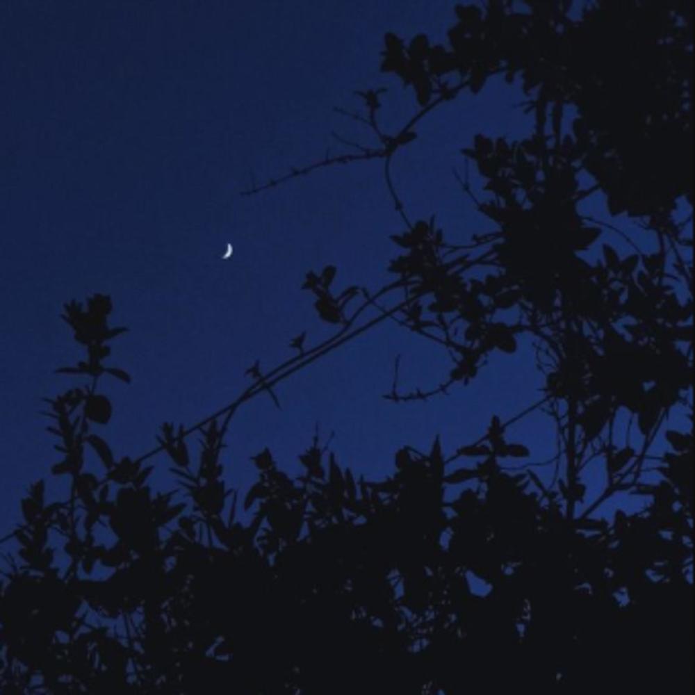 Moonlight (Sped up)