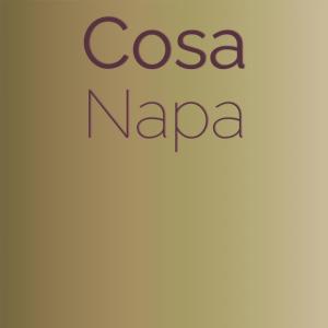 Listen to Inebriant song with lyrics from Cobby Uist