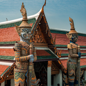 ดาวน์โหลดและฟังเพลง Yoga Lovers พร้อมเนื้อเพลงจาก Zen Music Garden