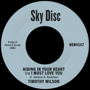 Timothy Wilson的專輯Hiding In Your Heart b/w I Must Love You