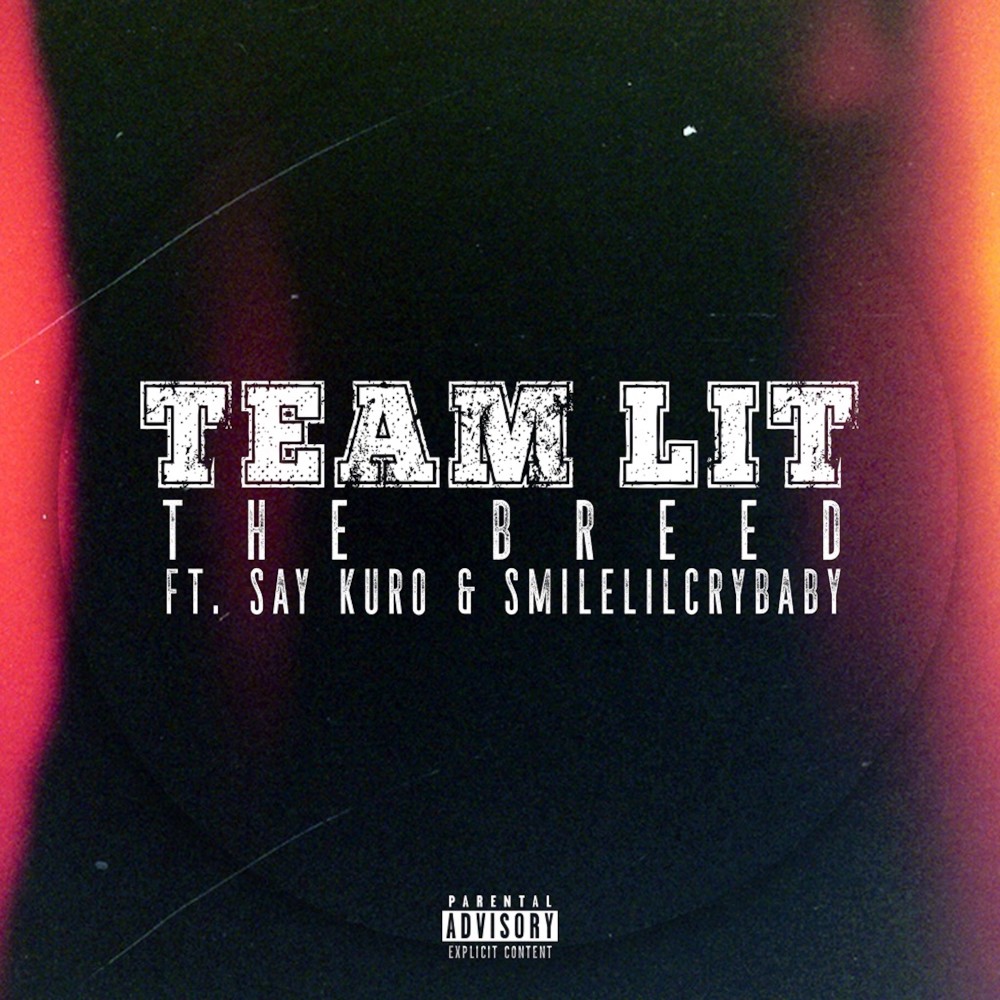 Team Lit (Explicit)