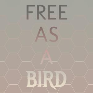 Silvia Natiello-Spiller的專輯Free as a Bird