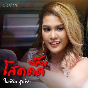 อัลบัม โสดดี๊ดี ศิลปิน ใบเฟิร์น สุทธิยา