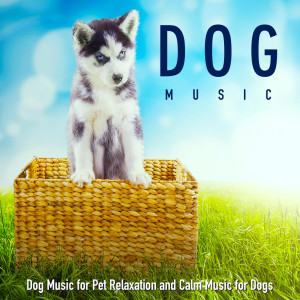 ดาวน์โหลดและฟังเพลง Relaxing Doggy Music พร้อมเนื้อเพลงจาก Dog Music
