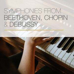 古尔达的专辑Symphonies from Beethoven, Chopin & Debussy