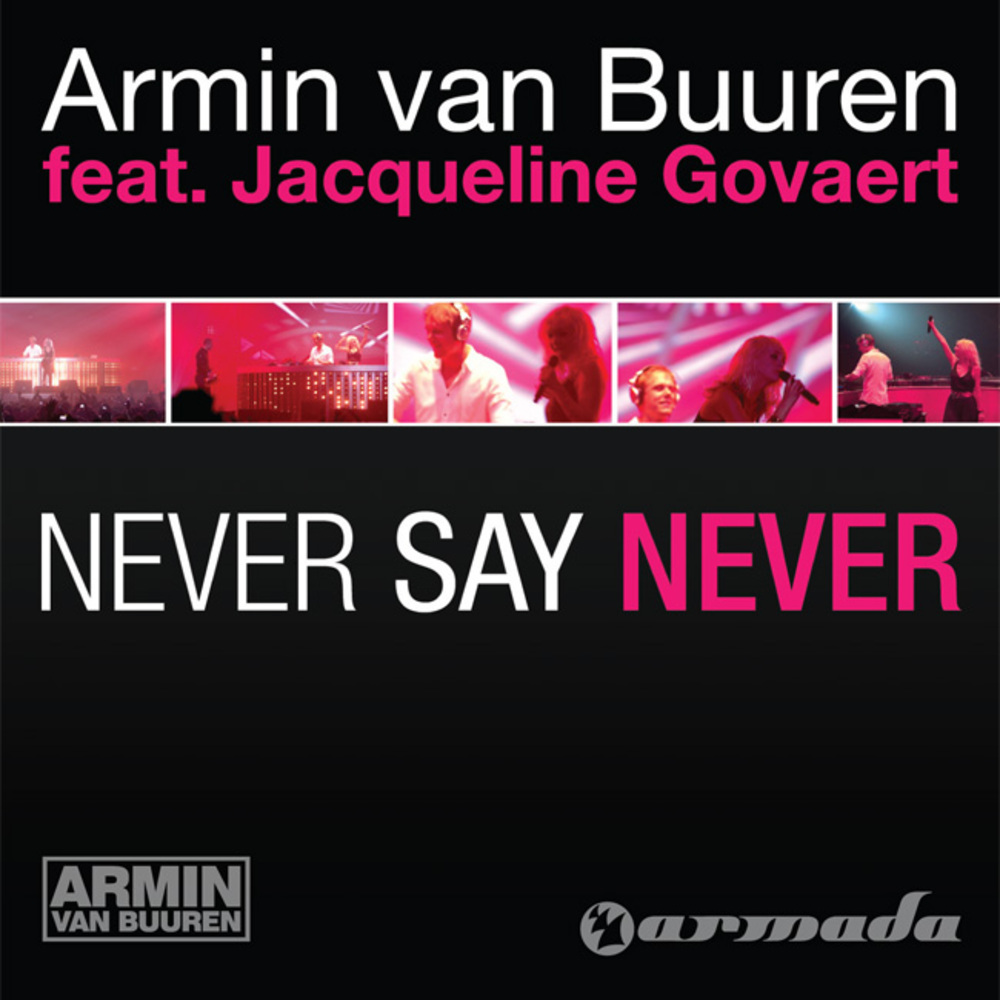 Never Say Never (Alex Gaudino Remix)