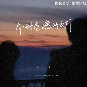 收聽田園的有一種遺憾叫我們 (完整版)歌詞歌曲