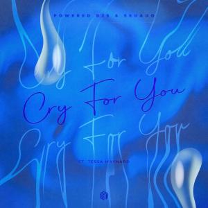 Album Cry For You oleh Powered DJs