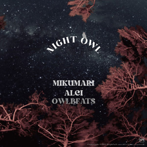 ดาวน์โหลดและฟังเพลง NIGHT OWL พร้อมเนื้อเพลงจาก OWLBEATS