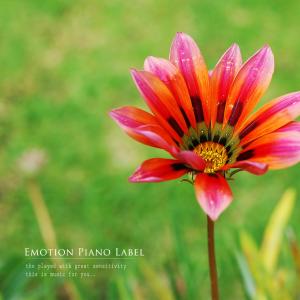 이은서的專輯Melody of happiness