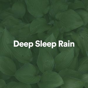 Deep Sleep Rain