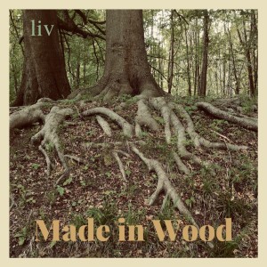 Listen to Black Pearls song with lyrics from Made in Wood