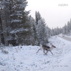 Album You're My Home (Acoustic Version) oleh Asora