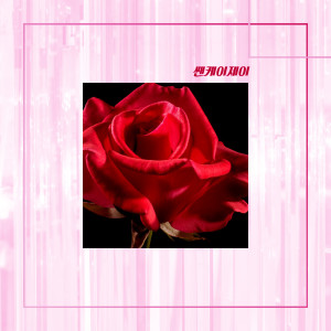 Album A Red Rose oleh 쌘케이제이