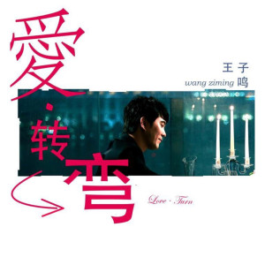 Album 爱转弯 from 王子鸣
