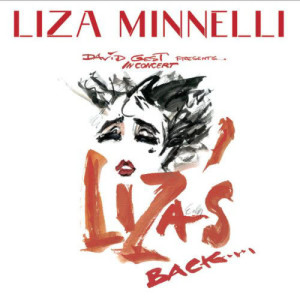 收聽Liza Minnelli的New York, New York (Live)歌詞歌曲