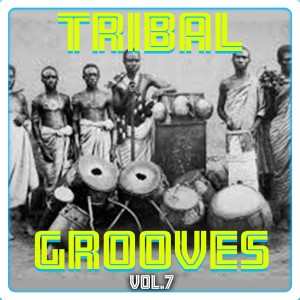 Tribal Grooves Vol. 7