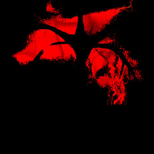 Cruel freak (Explicit) dari qxxivo