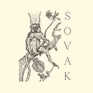 Sovak的專輯Terra