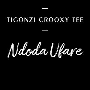 Album Ndoda Ufare from TiGonzi