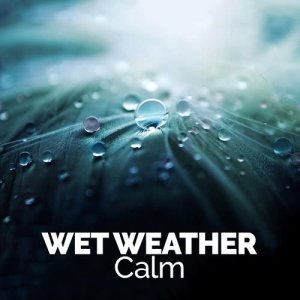 收聽The Relaxing Sounds of Water的Wet歌詞歌曲